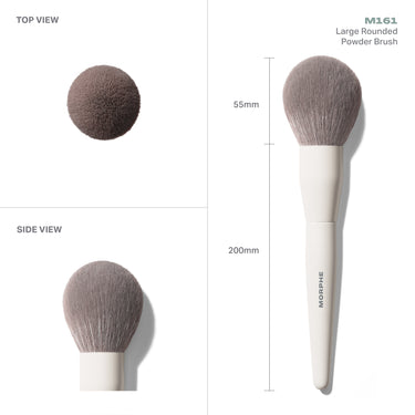 M161 Large Rounded Powder Brush