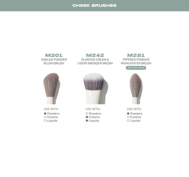 Three makeup brushes with labels and usage instructions on a white background
