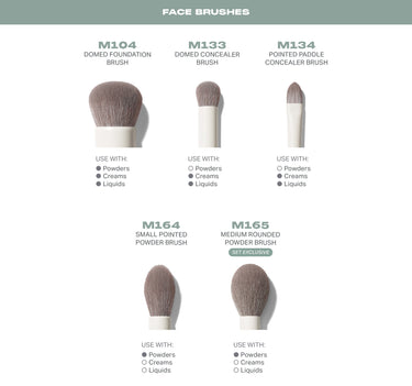 Set of makeup brushes with bristle heads and handles on a white background, labeled for use with powders, creams, or liquids.